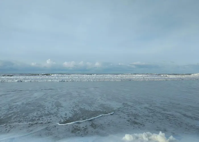 Apartament 8 Person In Ringkobing-by Traum Ringkøbing